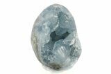 Crystal Filled Celestine (Celestite) Egg Geode - Madagascar #241884-2